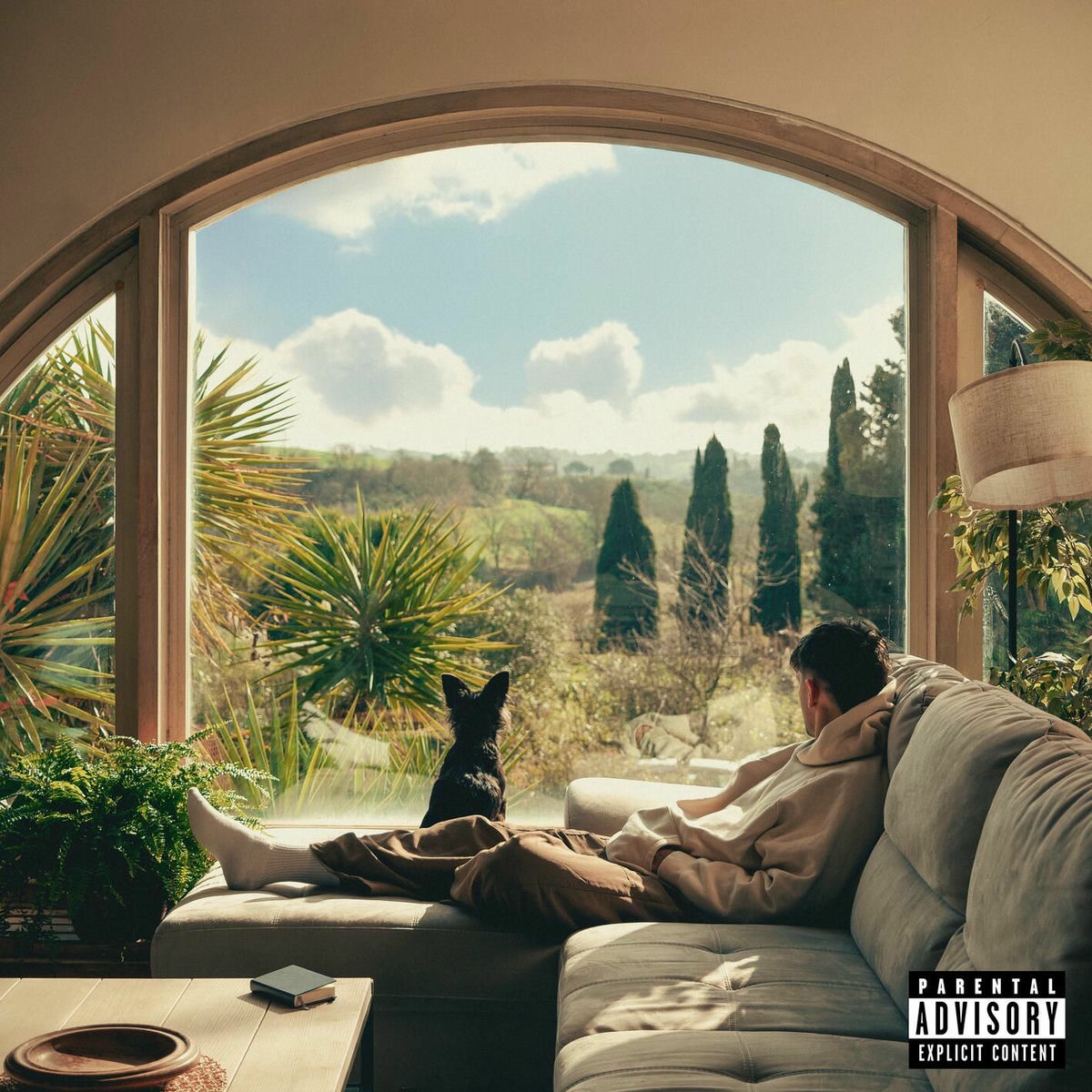 Album cover of Viscerale