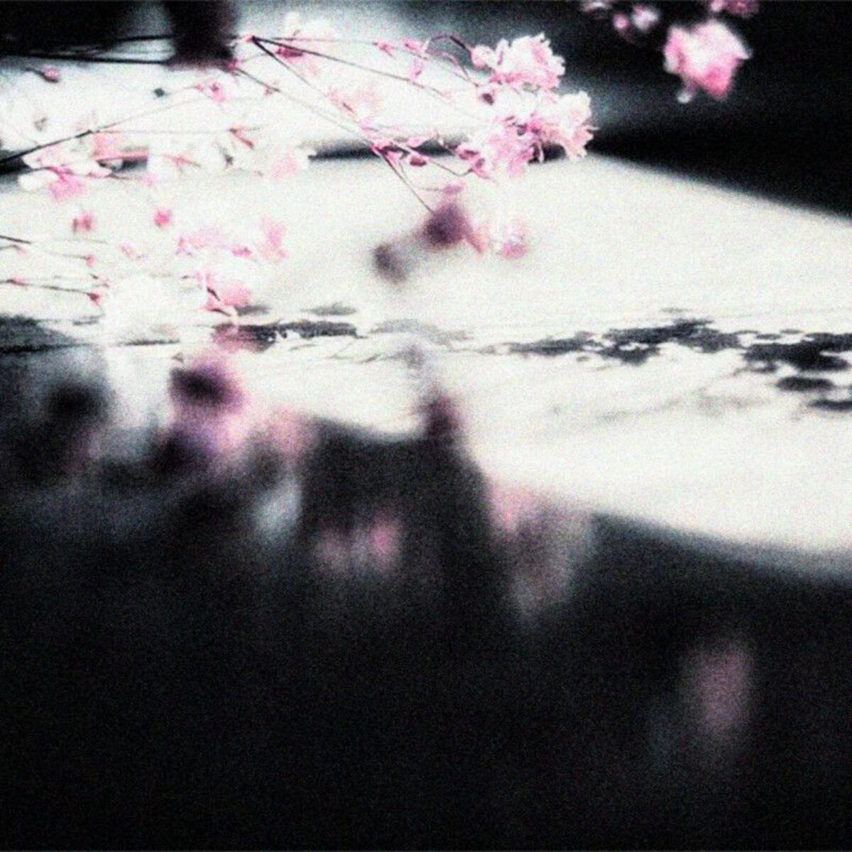 Album cover of welcome and goodbye (cover)