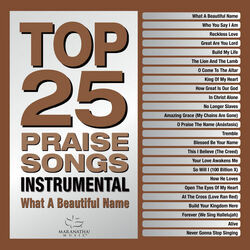 Cover of Top 25 Praise Songs Instrumental - What A Beautiful Name