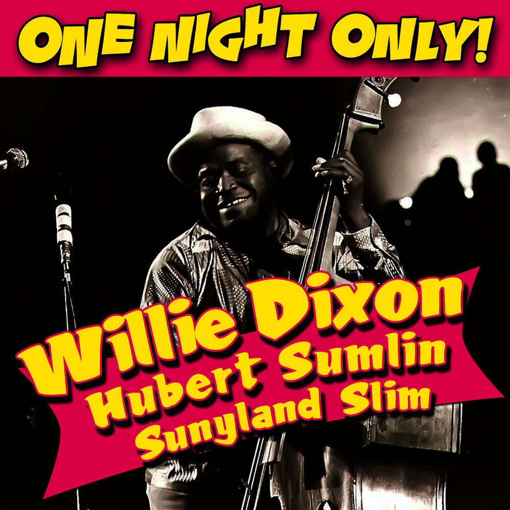 Picture of One Night Only!
