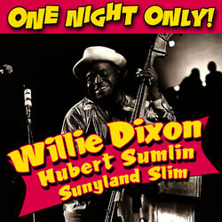 Cover of One Night Only!
