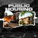 PUBLIC HOUSING