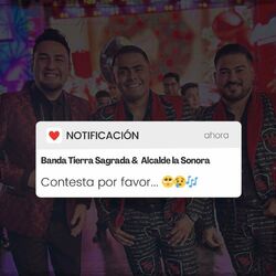 Cover of Contesta Por Favor