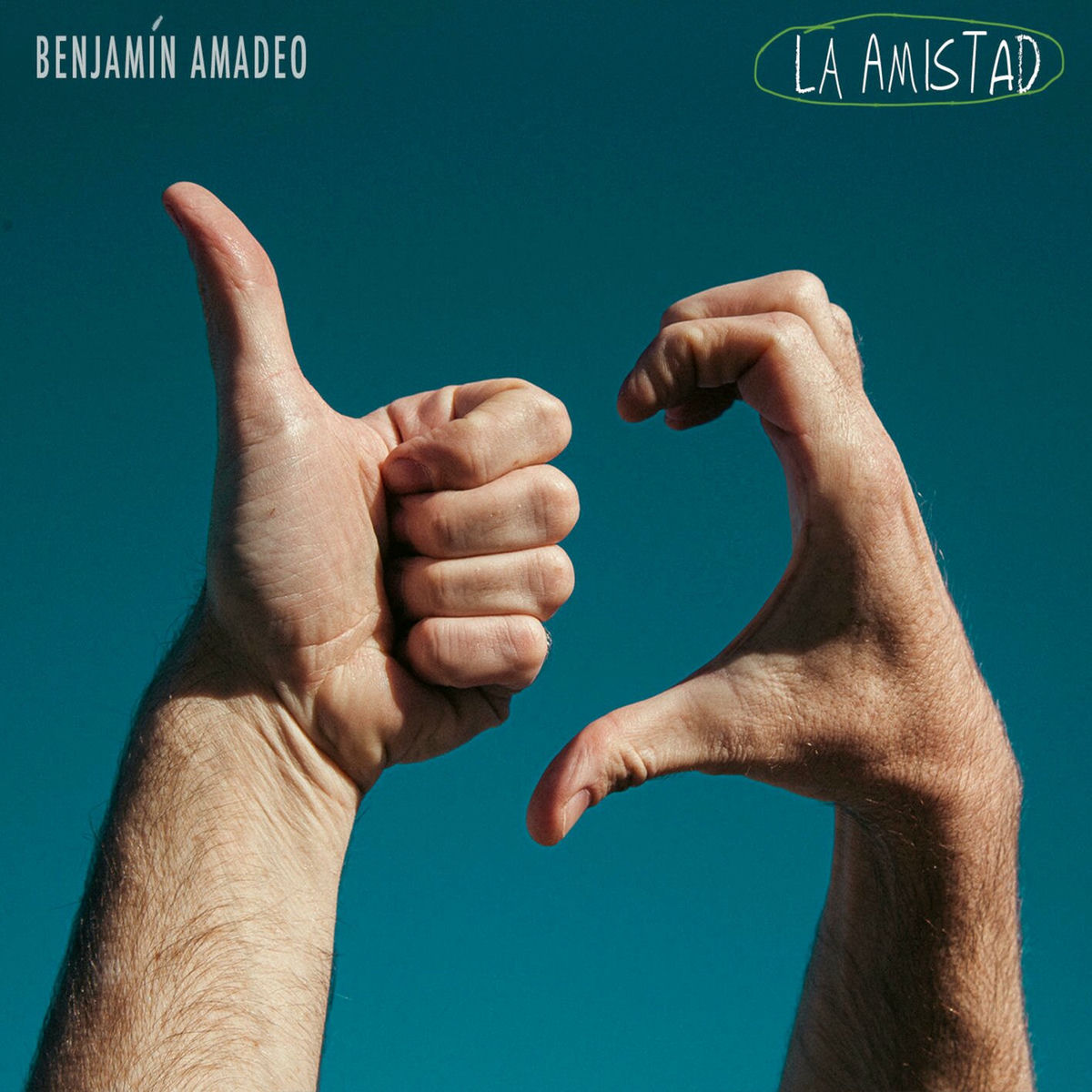Album cover of La Amistad