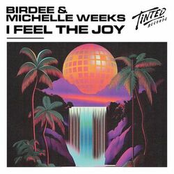 Cover of I Feel the Joy