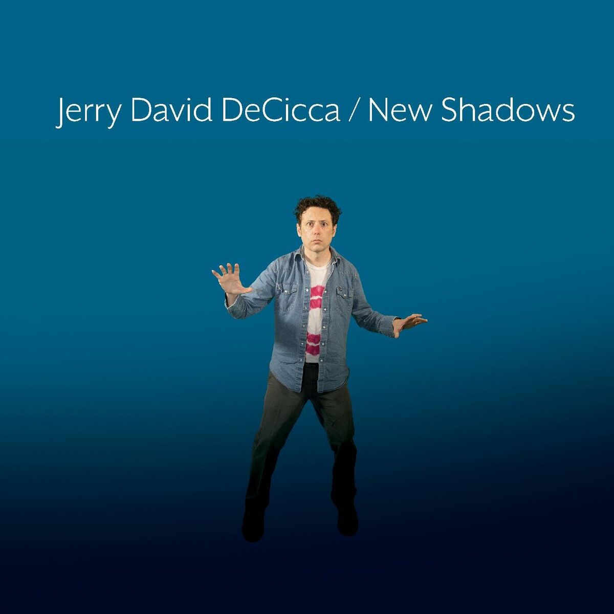 Album cover of New Shadows