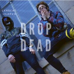 Cover of Drop Dead