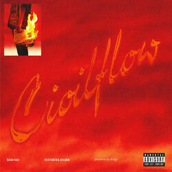 Cover of Cioilflow