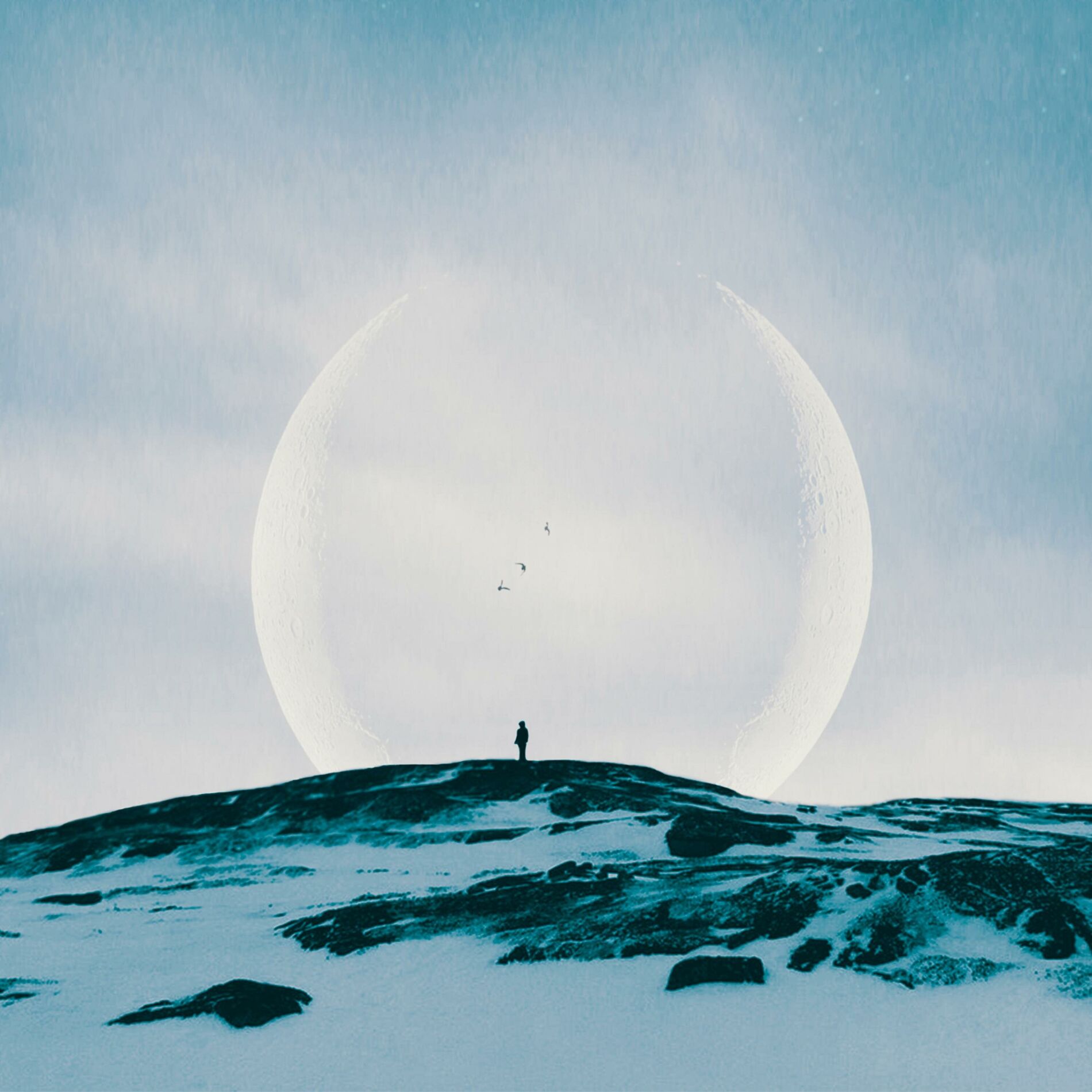Album cover of Dreamer