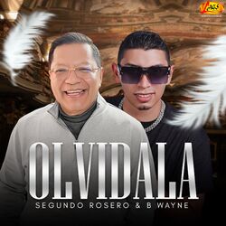 Cover of Olvidala
