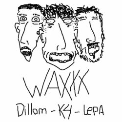 Cover of Waxxx