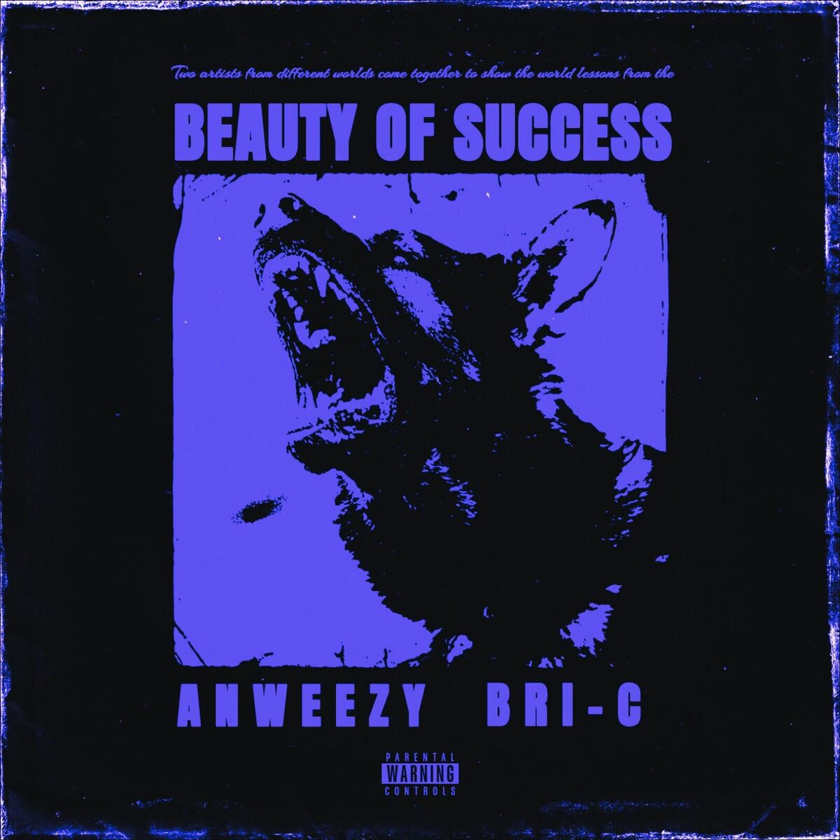 Album cover of Beauty of Success (Ghostly Echoes Mix)