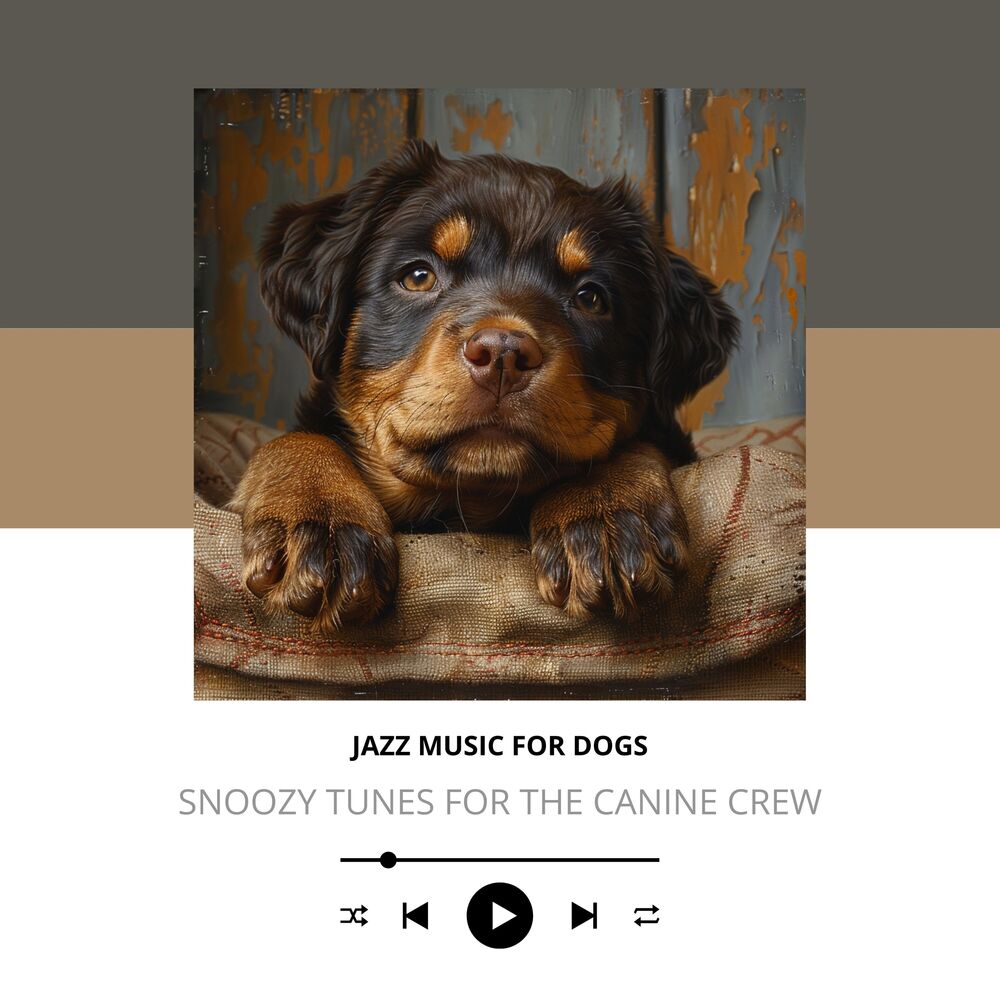 Picture of Snoozy Tunes for the Canine Crew