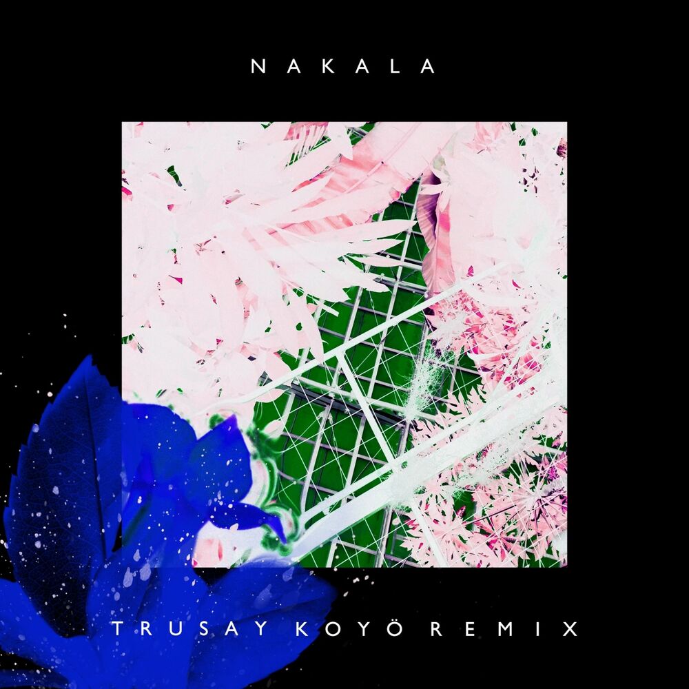 Picture of Trusay (Remix)