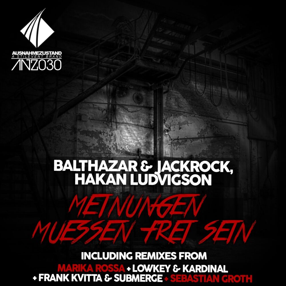 Picture of Meinungen Muessen Frei Sein: The Remixes