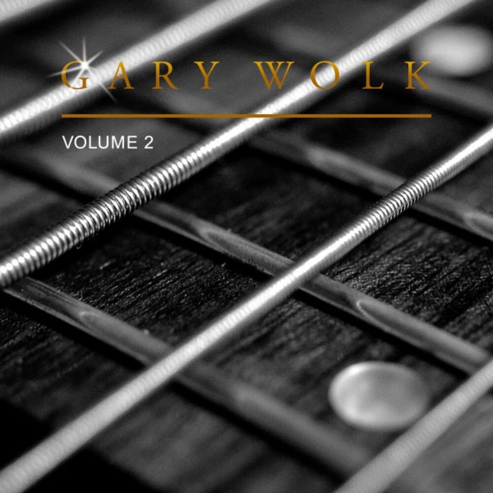 Picture of Gary Wolk, Vol. 2