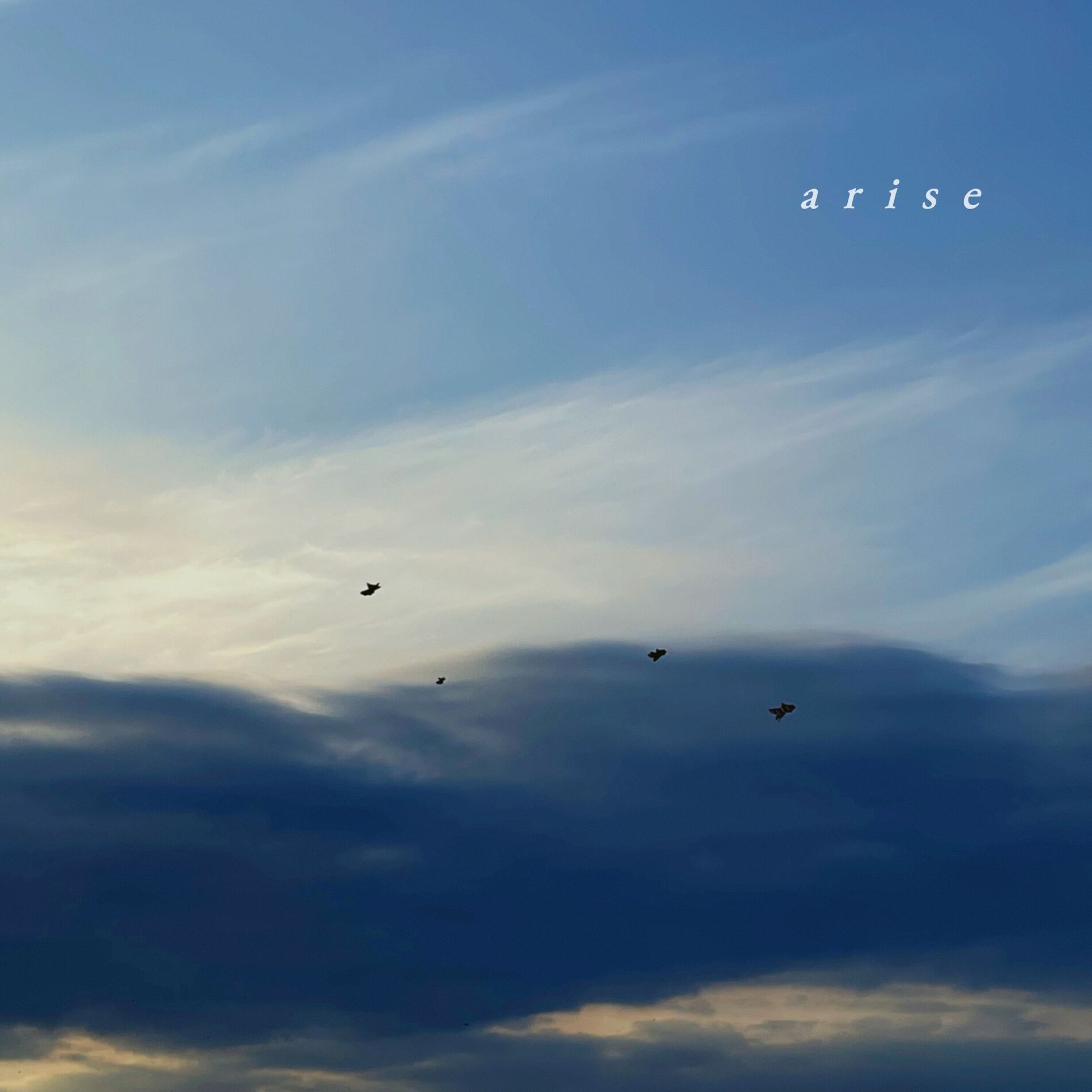 Album cover of Arise
