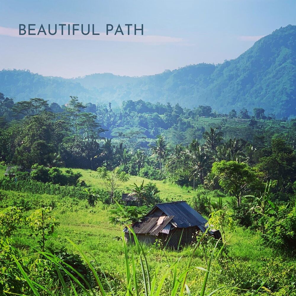Picture of Beautiful Path