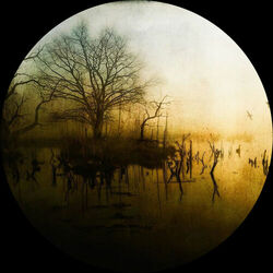 Cover of Transcend