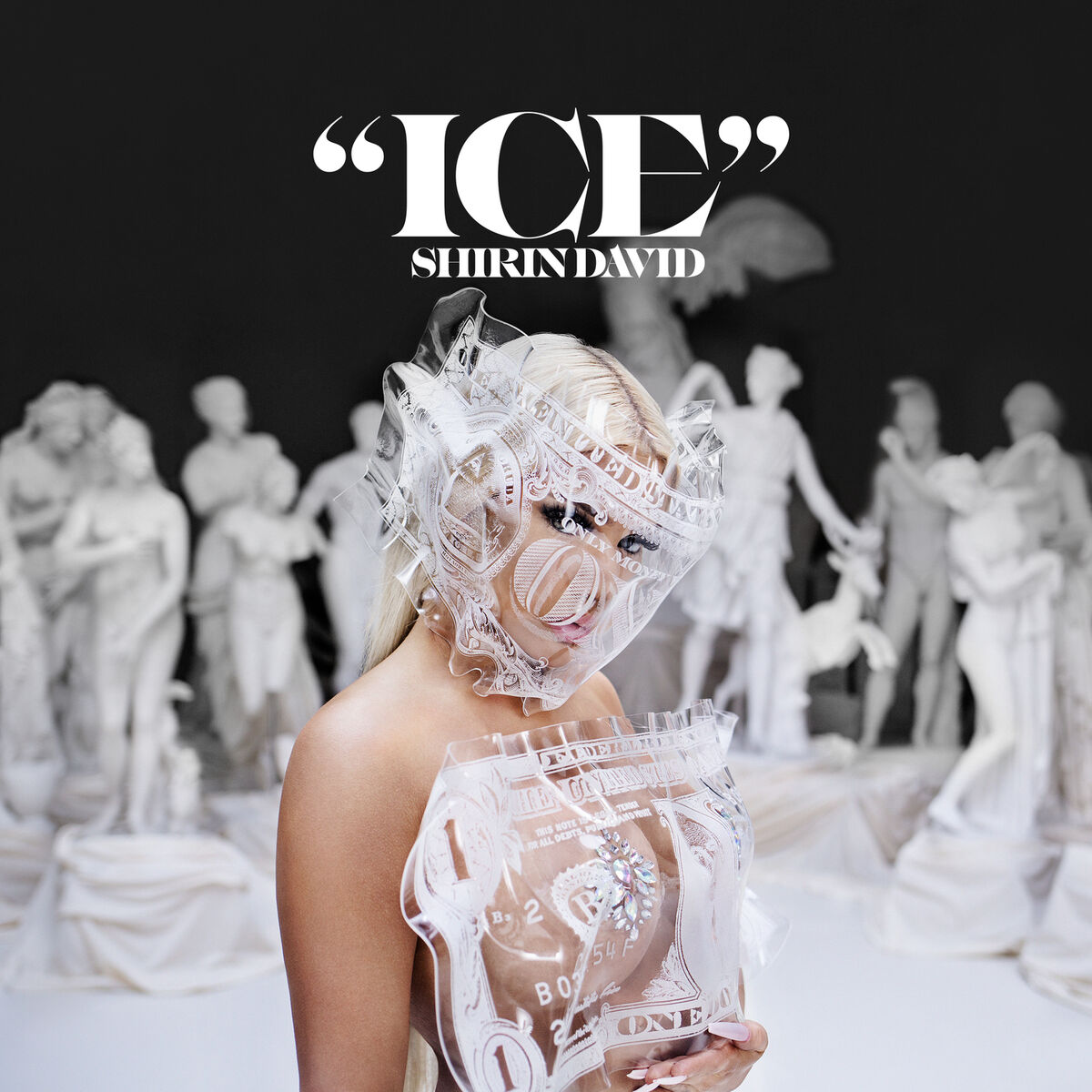 Album cover of ICE