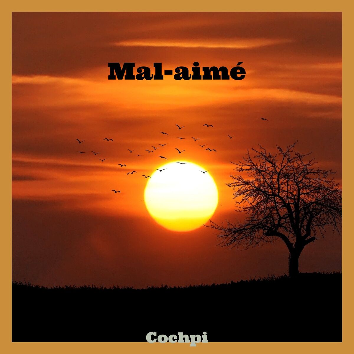 Album cover of Mal aimé