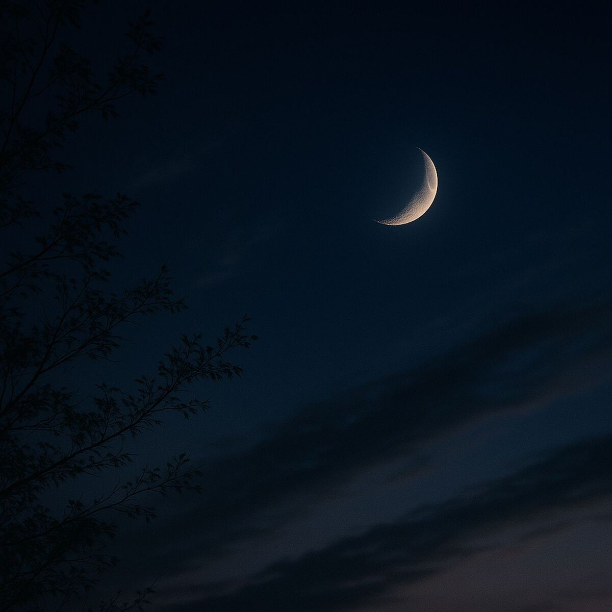 Album cover of 1 Sleepy Galaxy: Drifting Night Whispers