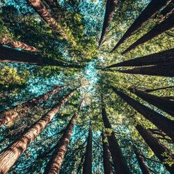 Cover of Naturaleza