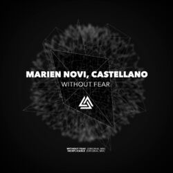 Cover of Without Fear