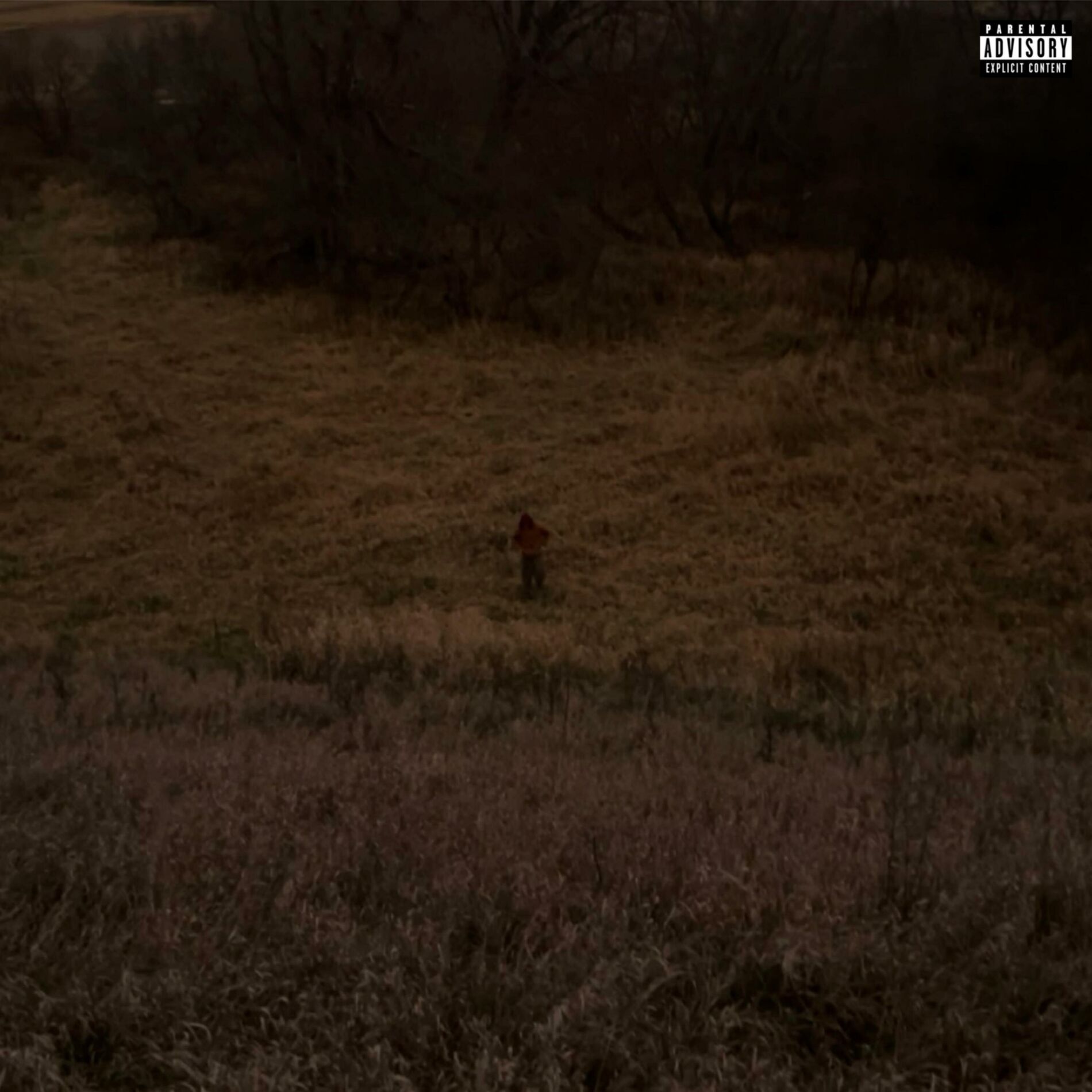 Album cover of old_files_ep-EP