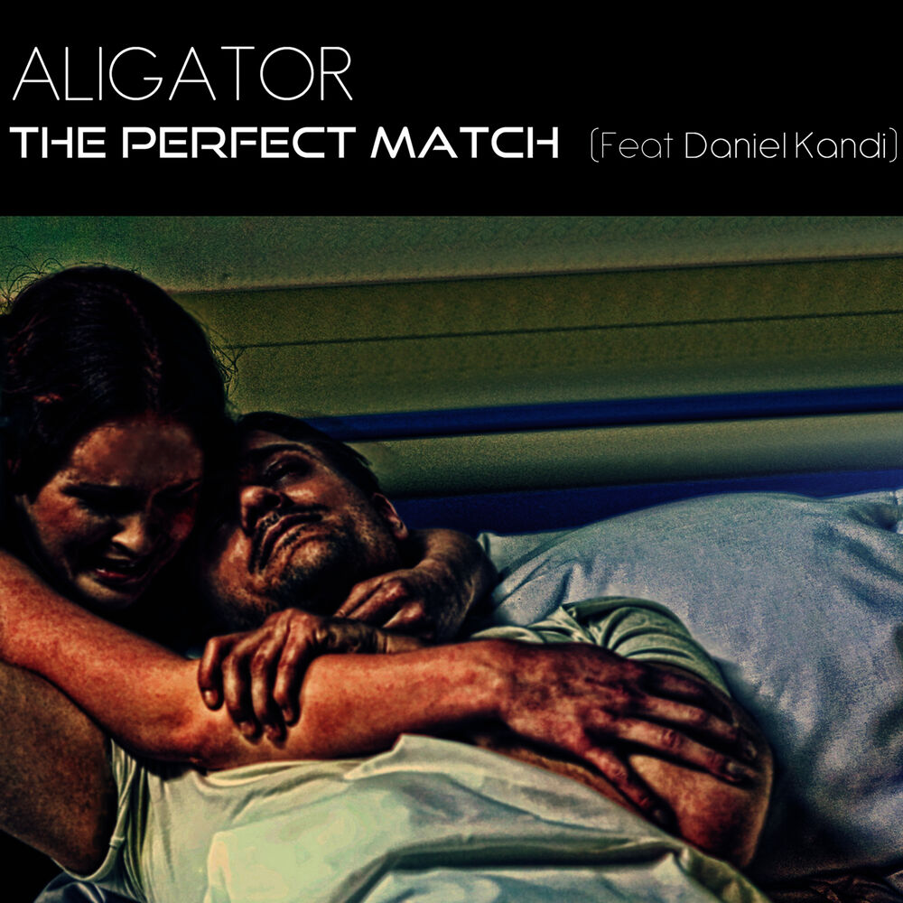 Picture of The Perfect Match (feat. Daniel Kandi) [Remixes]