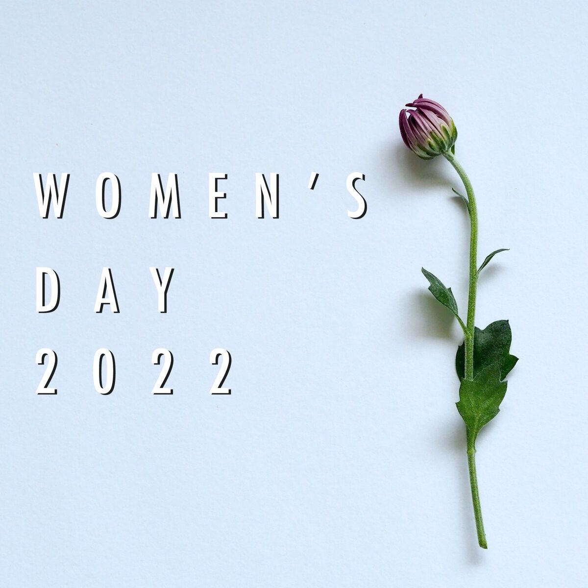 Album cover of Women's Day 2022: Celebrate Womxn