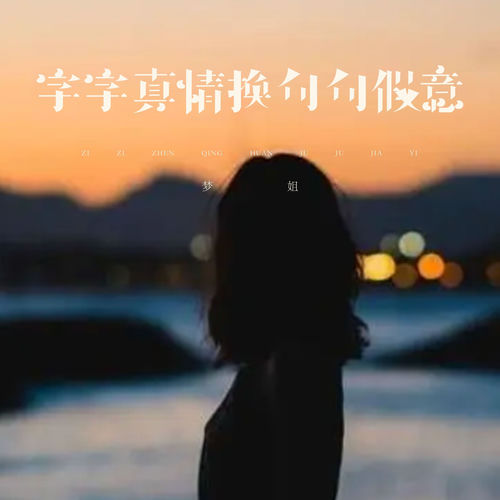 字字真情换句句假意