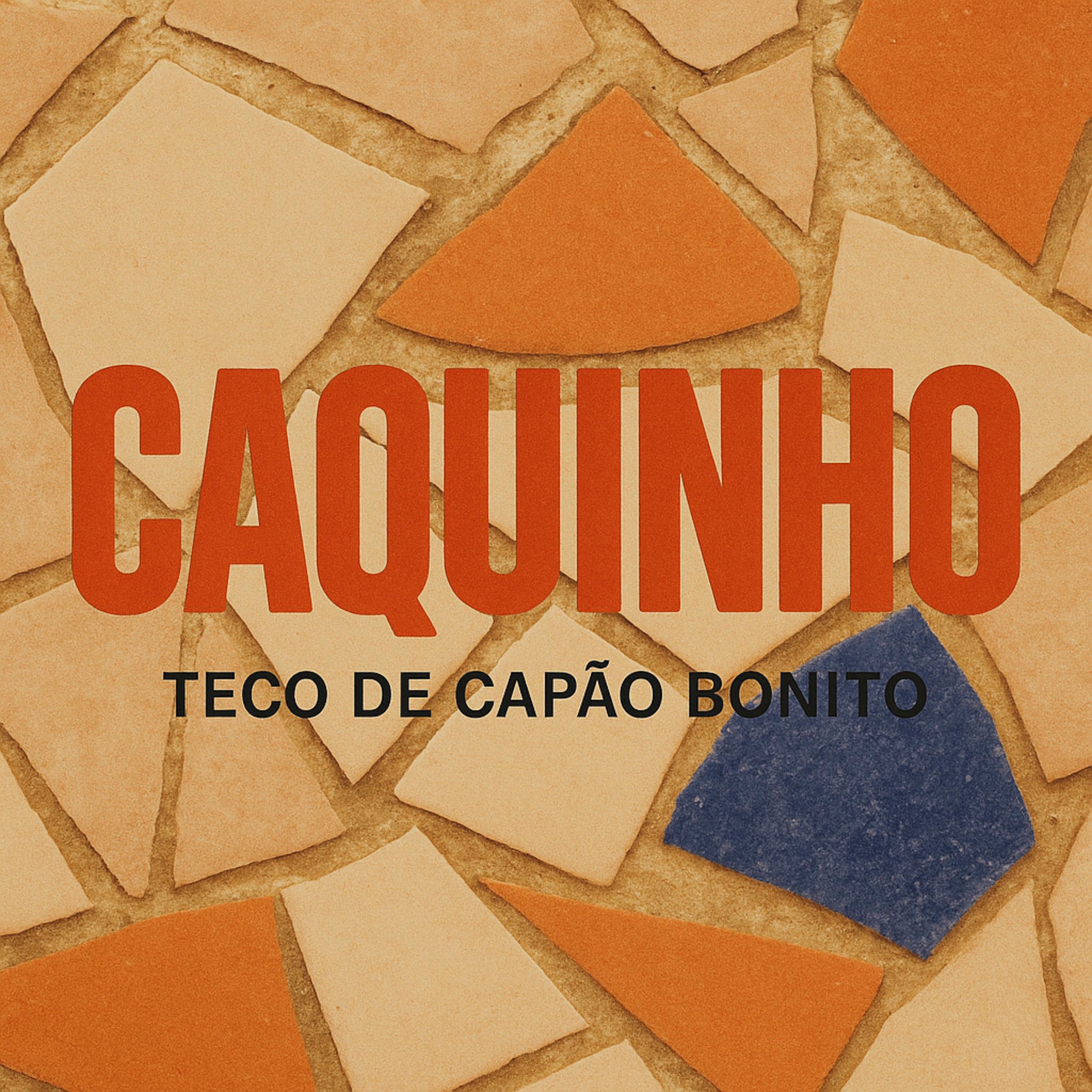 Album cover of Caquinho (Cover)