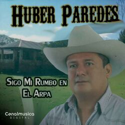 Cover of Sigo Mi Rumbo En El Arpa