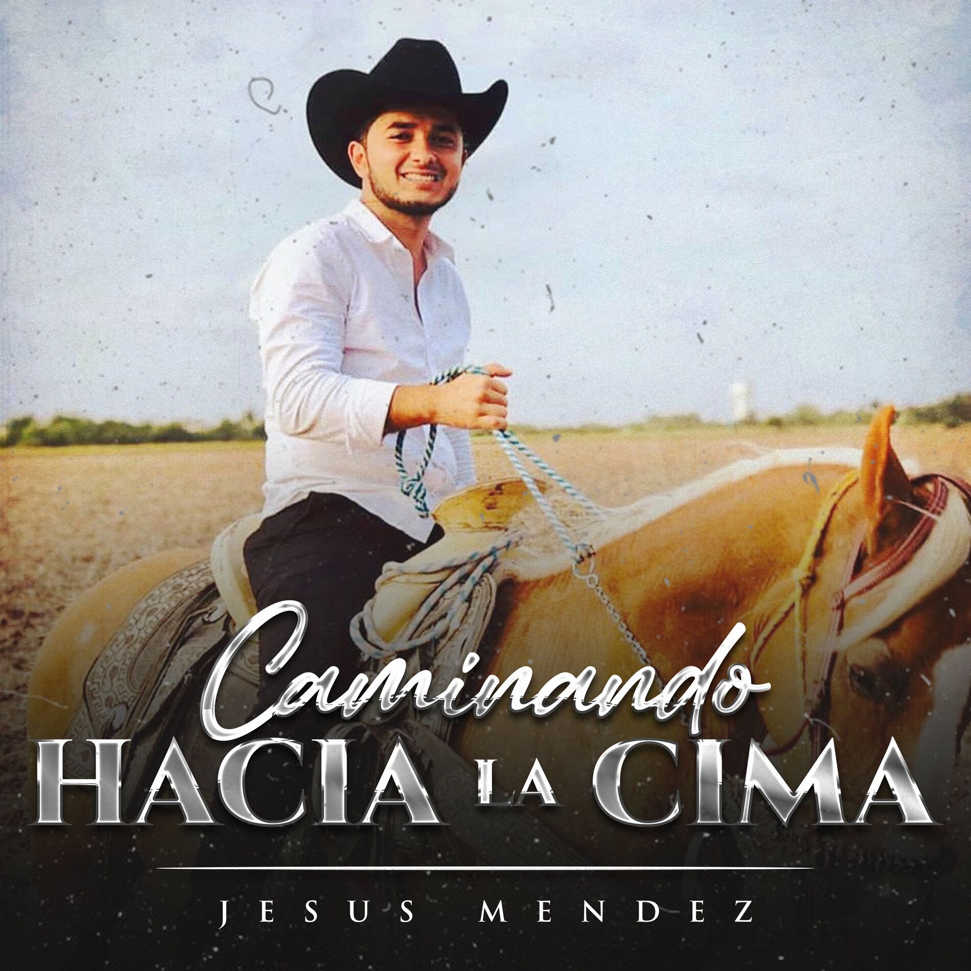 Album cover of Caminando Hacia la Cima
