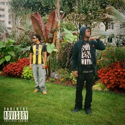 Cover of Briller de fou