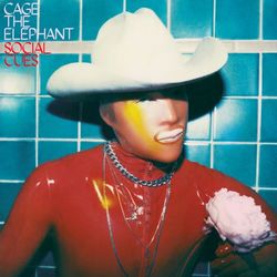 Cover of Social Cues