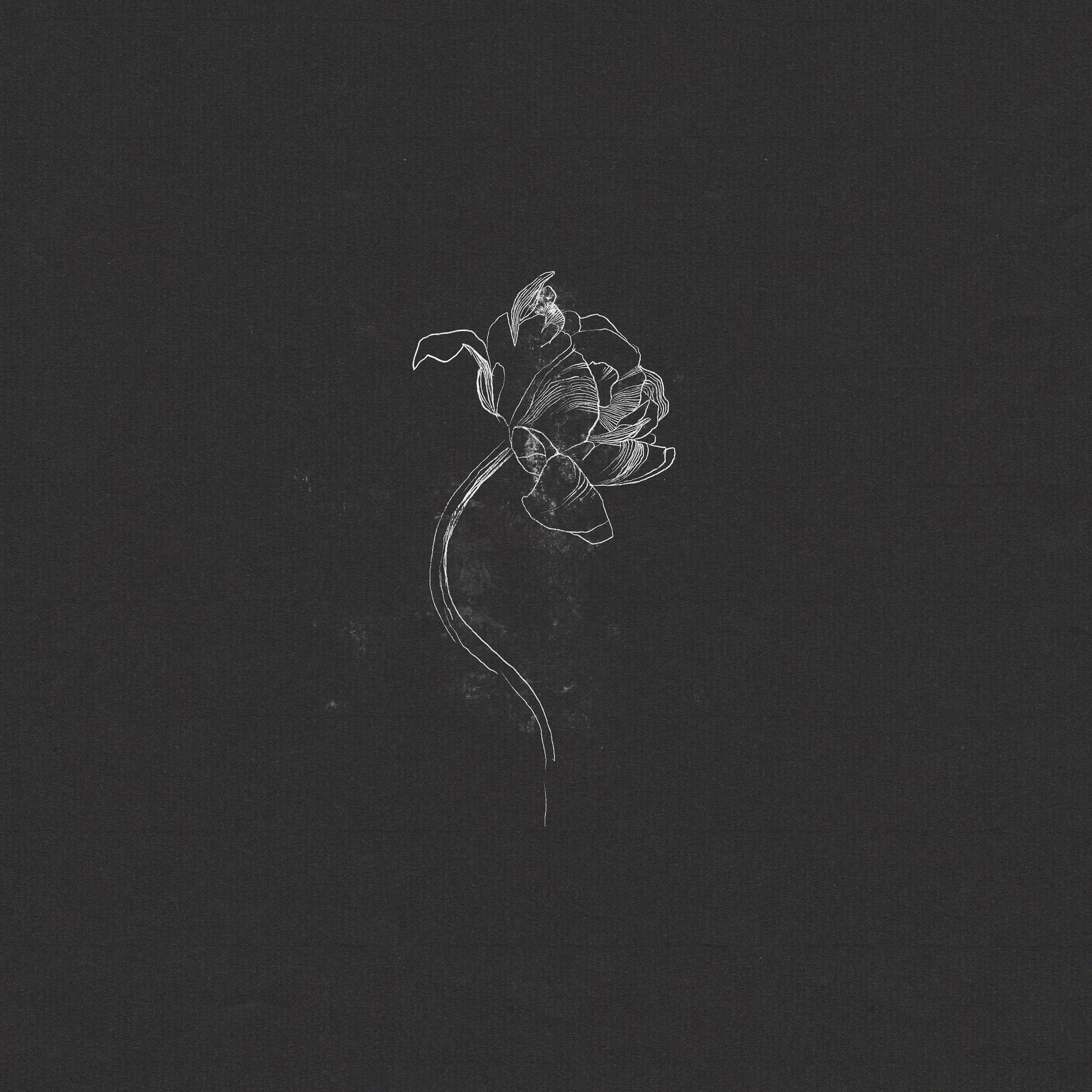 Album cover of To Sleep, Perchance To Dream