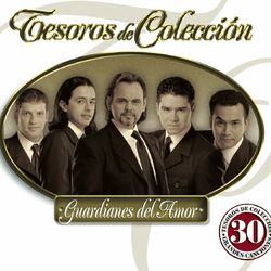 Cover of Tesoros De Colección