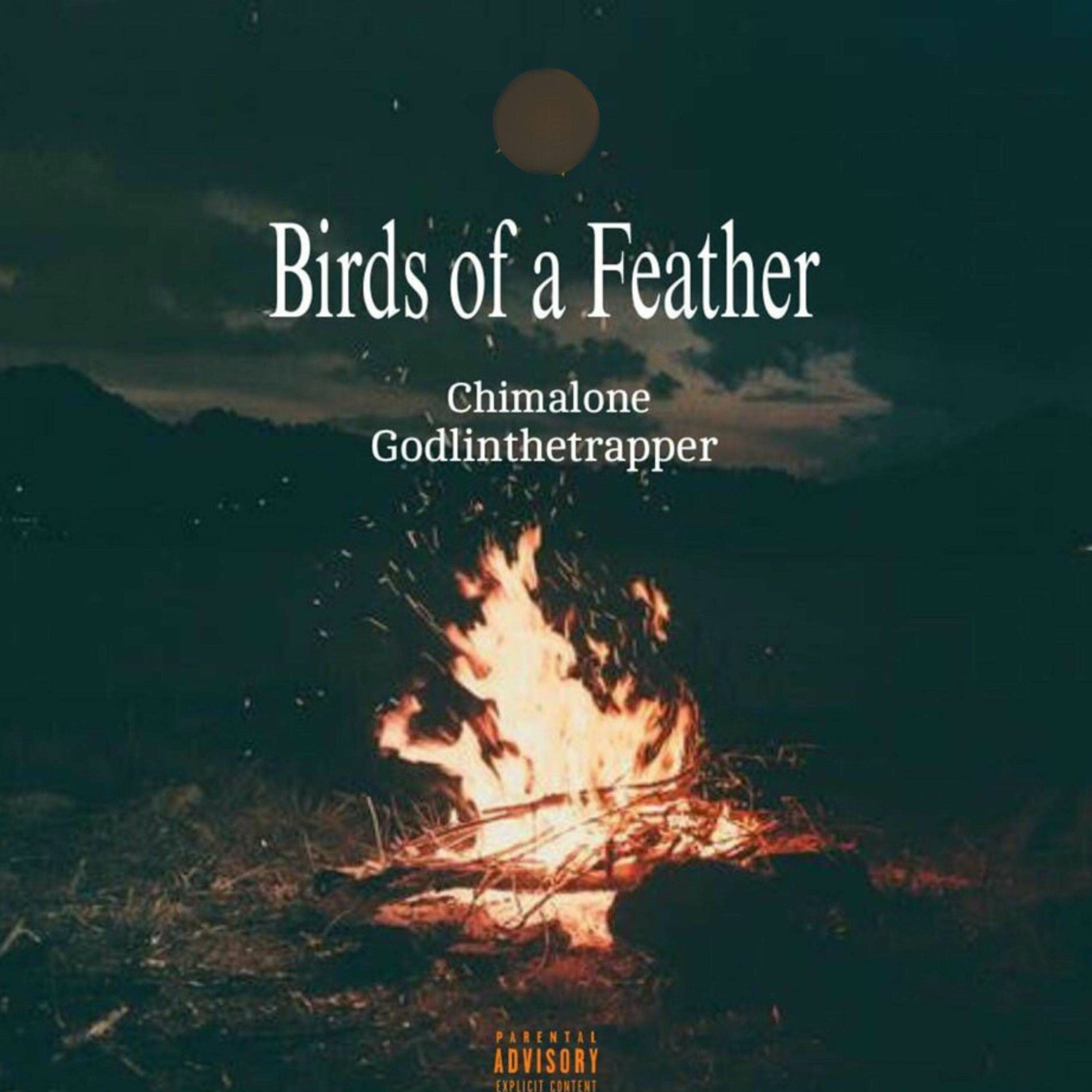 Album cover of Birds of a feather