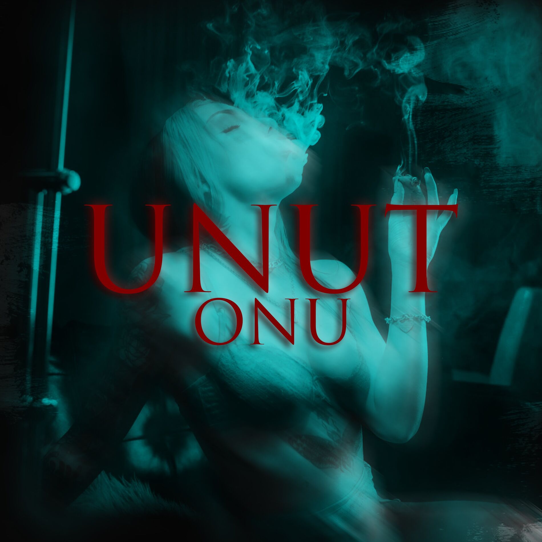 Album cover of Unut Onu