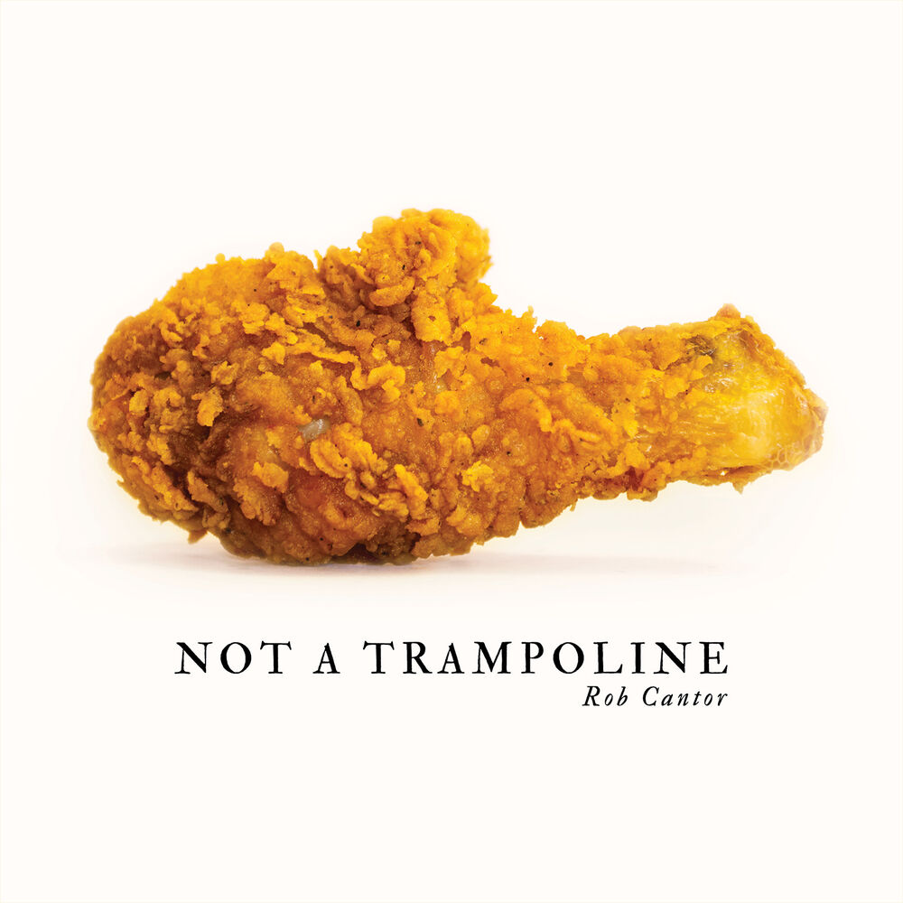 Picture of Not a Trampoline