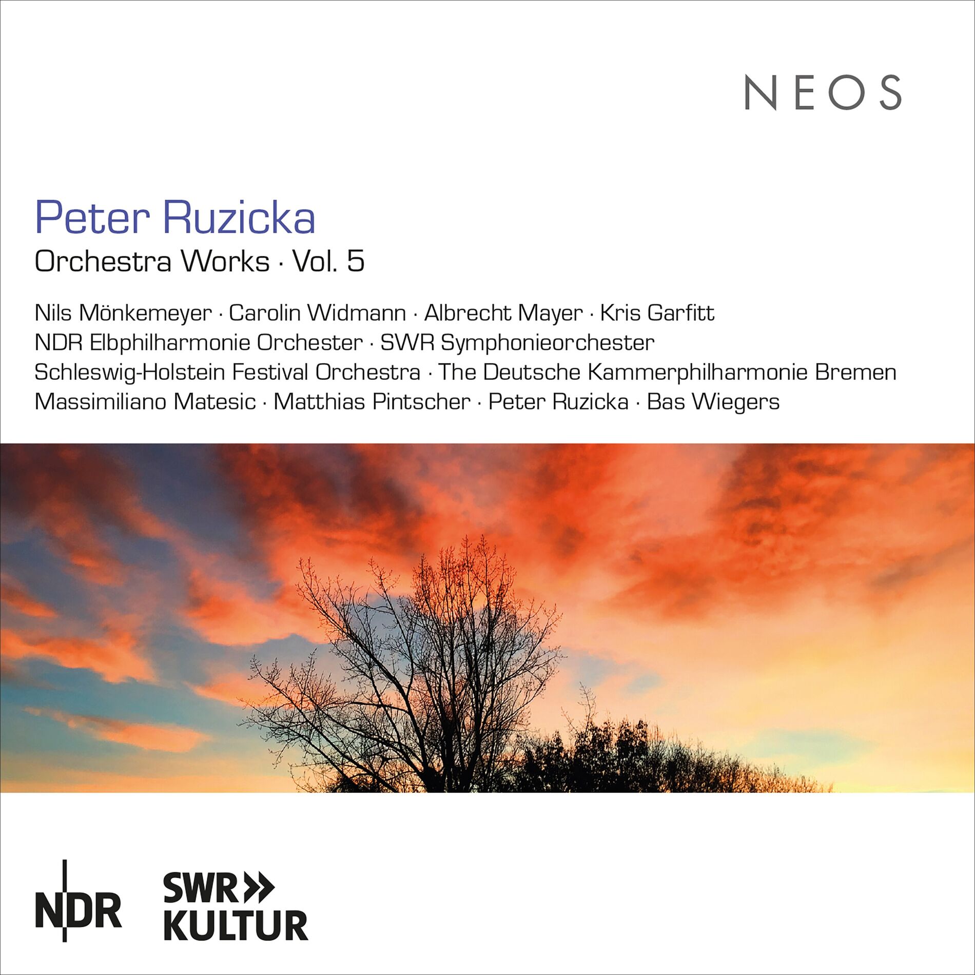 Album cover of Peter Ruzicka: Orchestral Works, Vol. 5