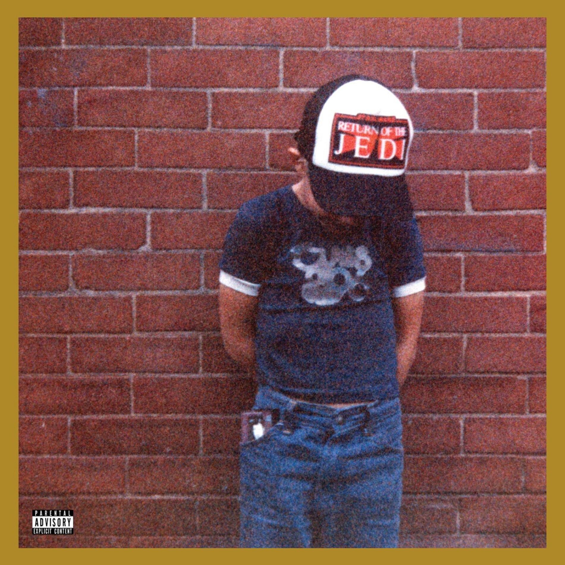 Album cover of DINOSAUR