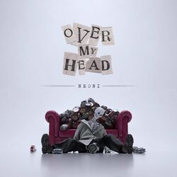 Cover of OVER MY HEAD