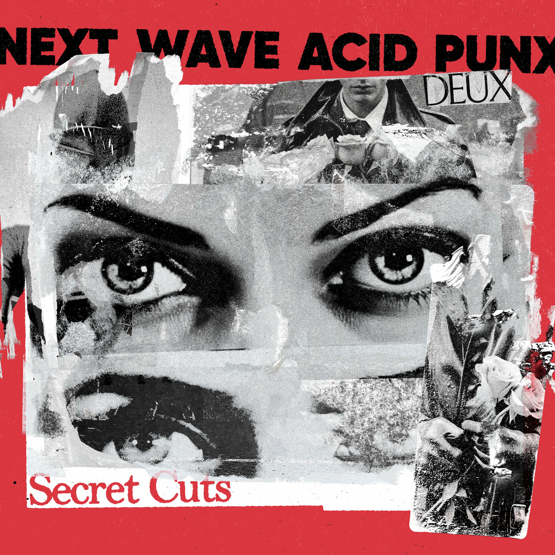 Album cover of Next Wave Acid Punx DEUX - Secret Cuts