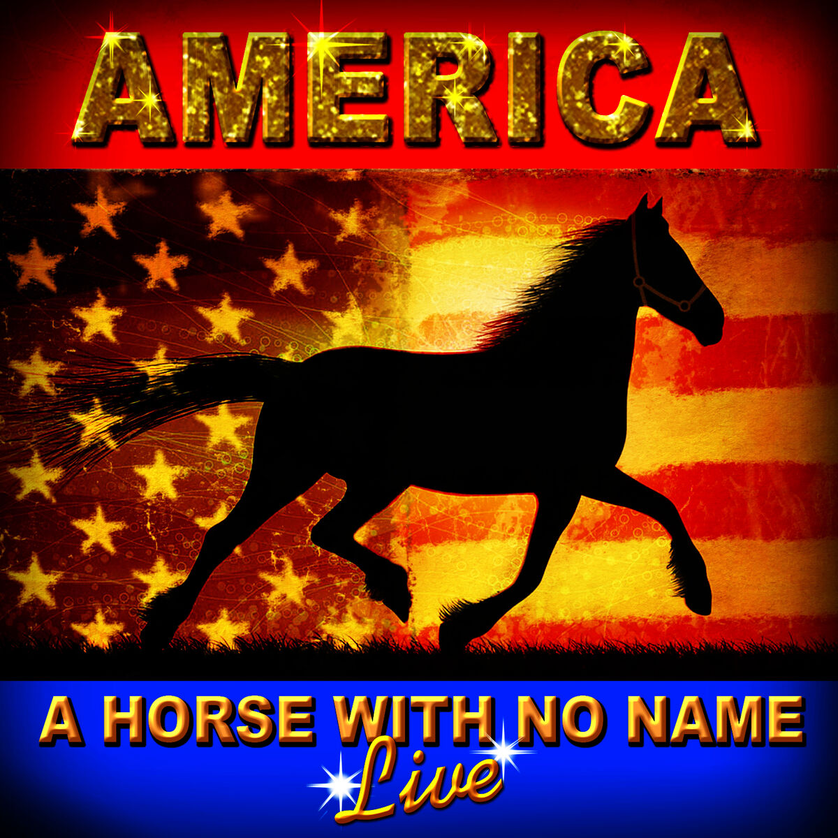 Album cover of A Horse With No Name - Live