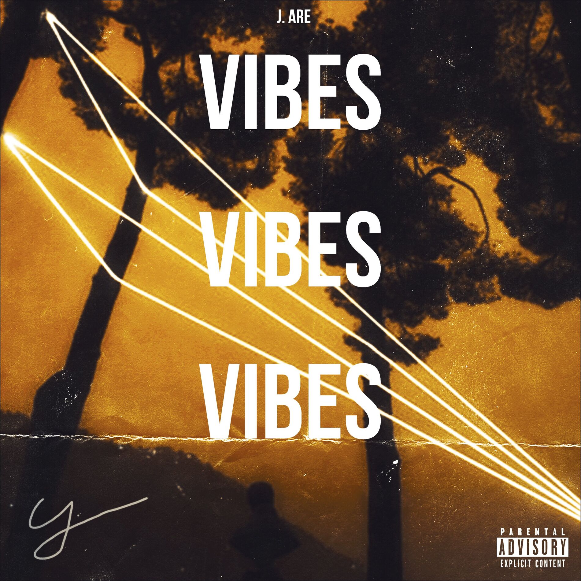 Album cover of Vibes