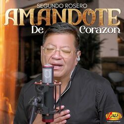 Cover of Amandote de Corazón