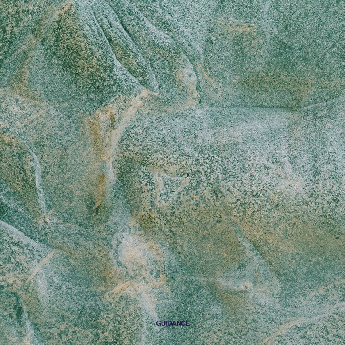Album cover of Guidance